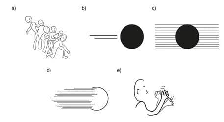 1284919515524790.jpg