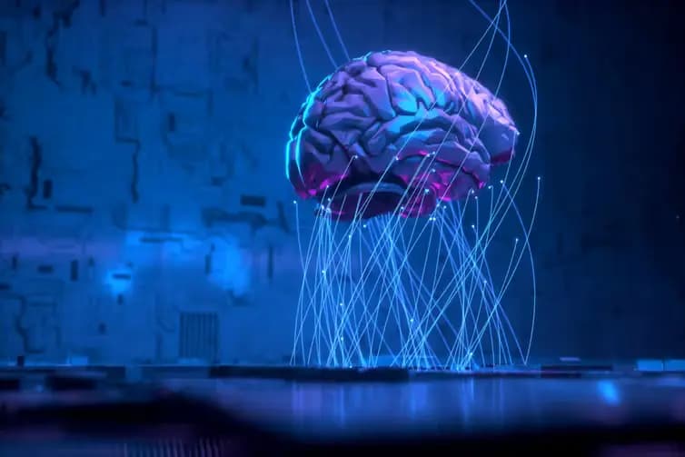 brain.webp