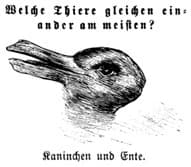 WhatsApp-Görsel-2023-10-05-saat-20.45.33_5d430dad.webp